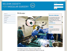 Tablet Screenshot of bsvs.org